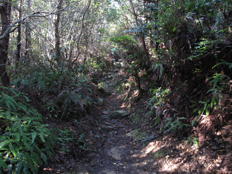 20131116hike (30)